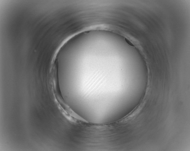 X0000063490816200602101831