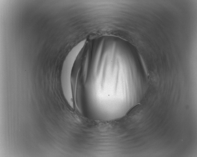 X0000063490818200602101831