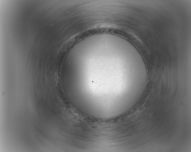 X0000063490821200602101831