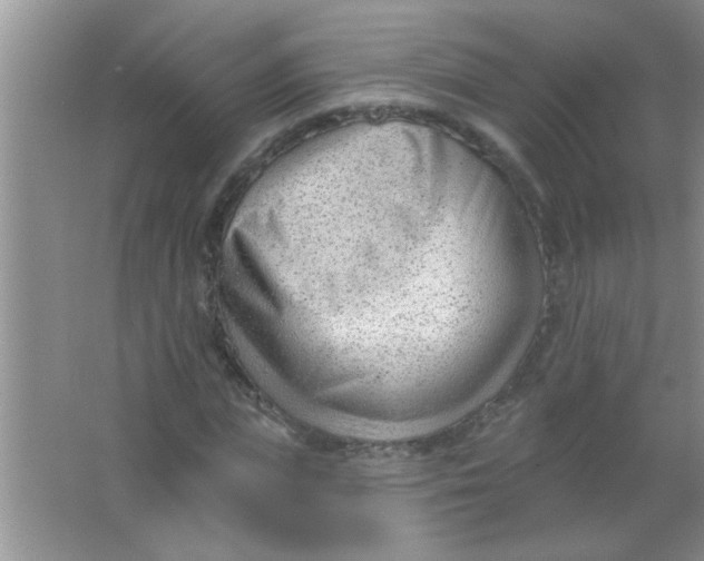 X0000063490823200602101831