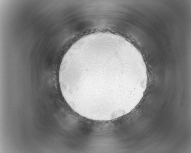 X0000063490824200602101831