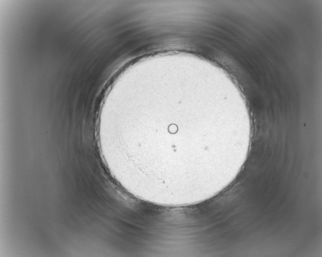 X0000063490828200602101831