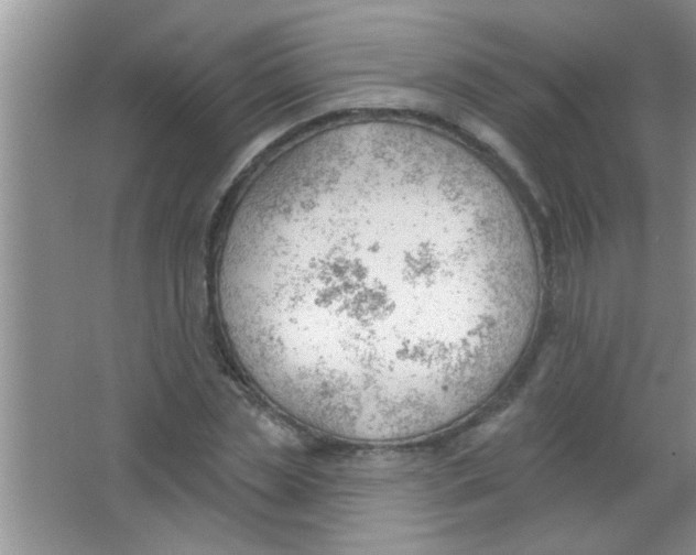 X0000063490829200602101831