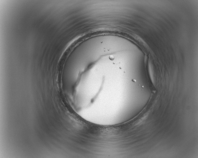 X0000063490830200602101831