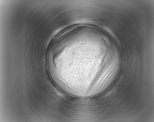 X0000063490831200602101831