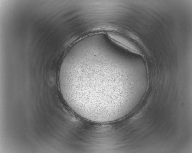 X0000063490833200602101831