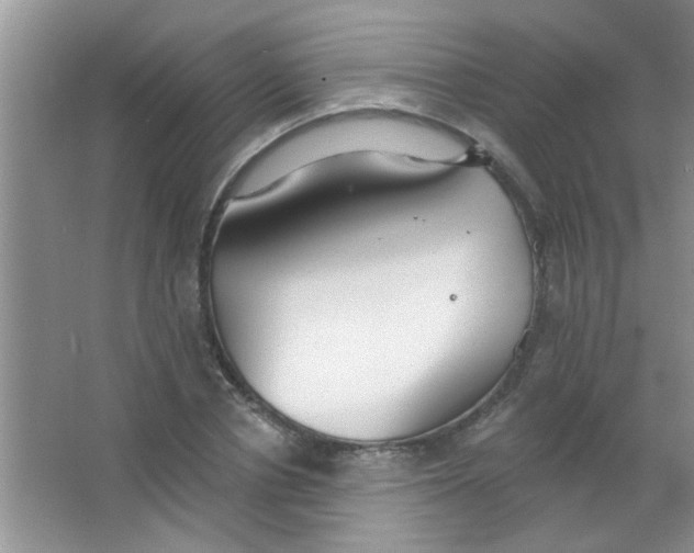 X0000063490834200602101831