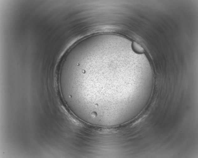 X0000063490835200602101831