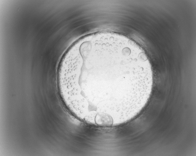 X0000063490836200602101831