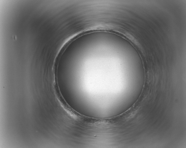 X0000063490838200602101831