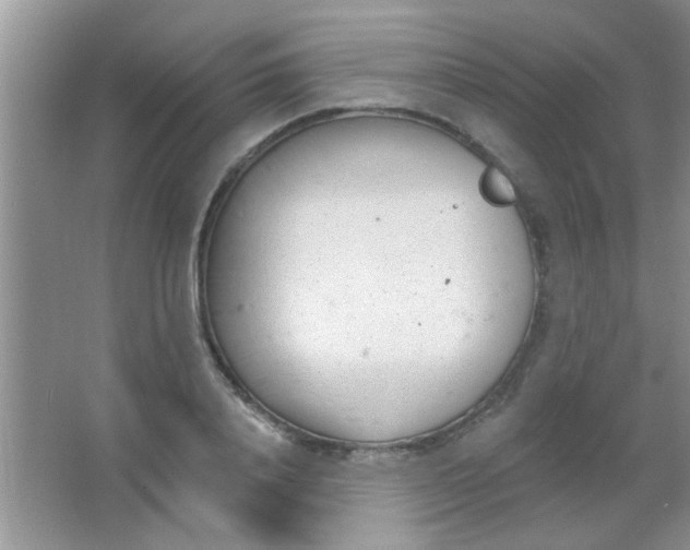 X0000063490840200602101831