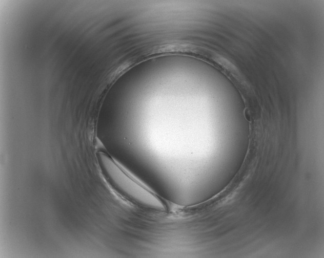 X0000063490841200602101831