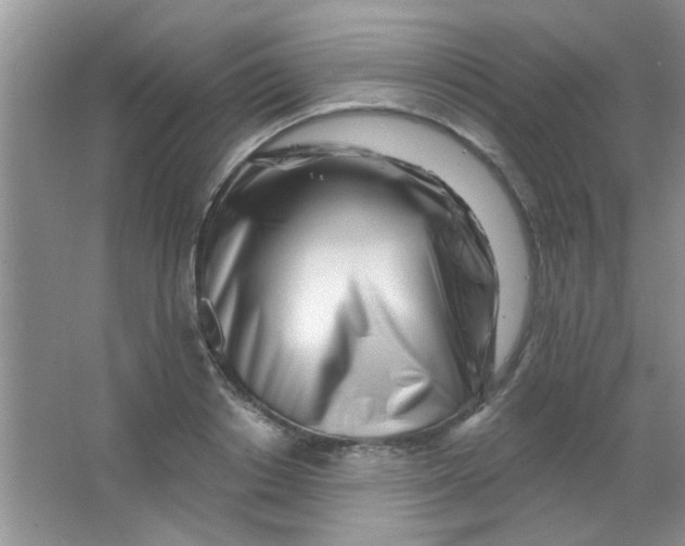 X0000063490842200602101831