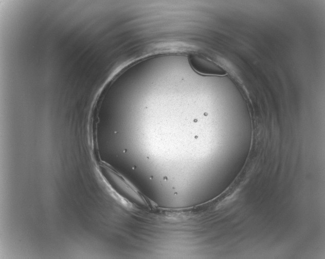 X0000063490843200602101831