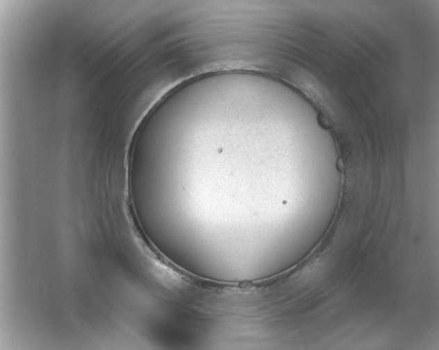 X0000063490844200602101831