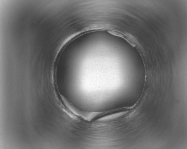 X0000063490846200602101831