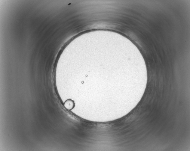 X0000063490848200602101831