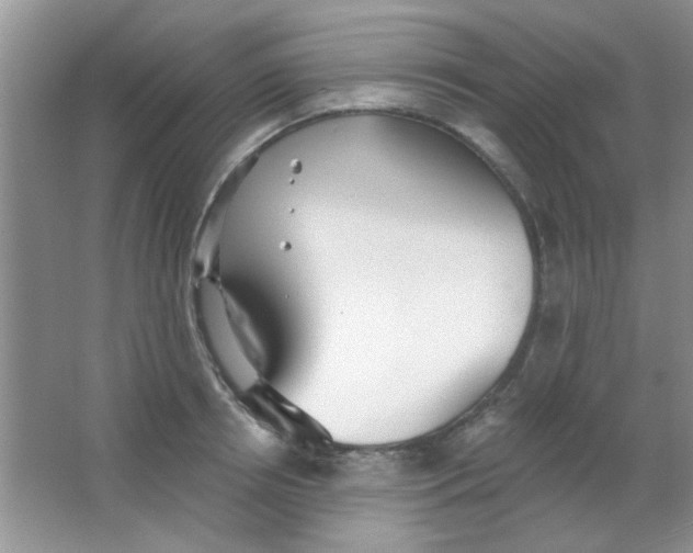 X0000063490850200602101831