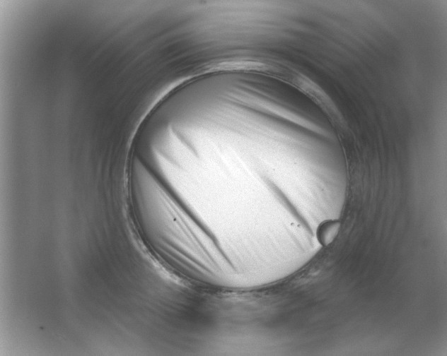 X0000063490852200602101831