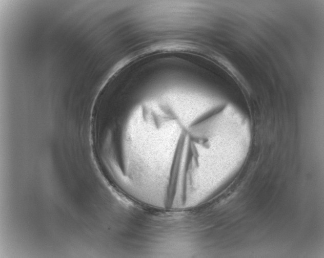 X0000063490853200602101831