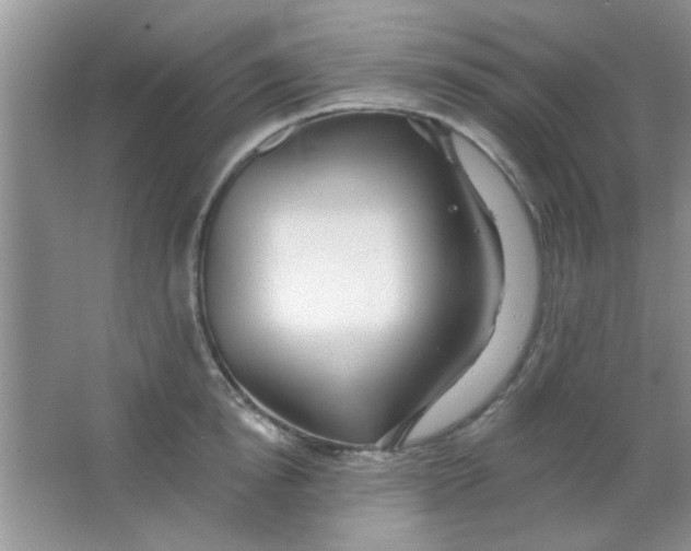 X0000063490854200602101831