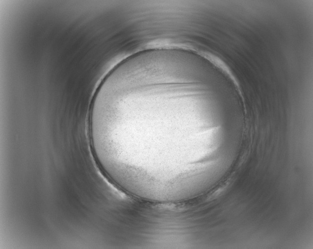 X0000063490855200602101831