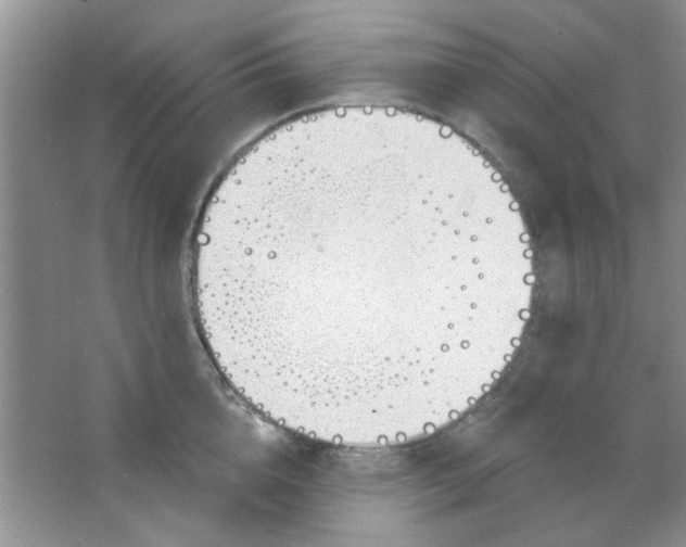 X0000063490856200602101831