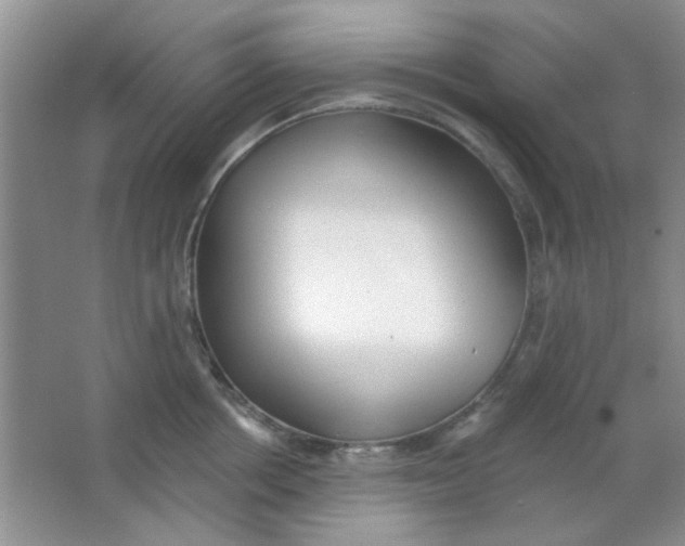 X0000063490858200602101831