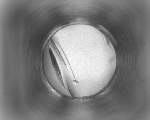 X0000063490860200602101831