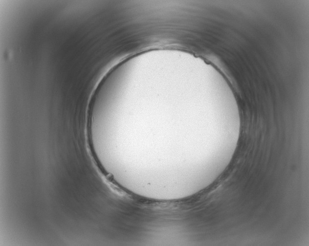 X0000063490861200602101831