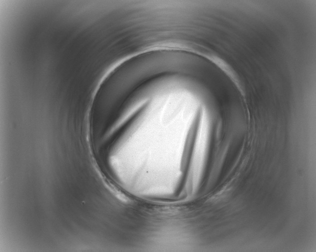 X0000063490862200602101831