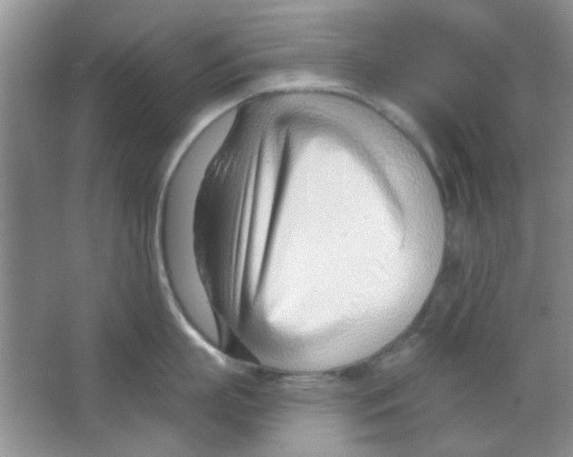 X0000063490863200602101831