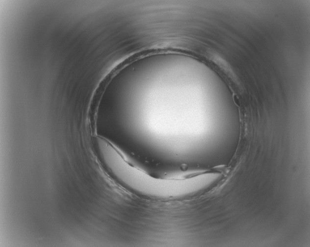 X0000063490876200602101830