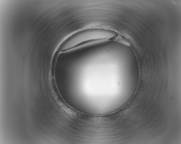 X0000063490880200602101830