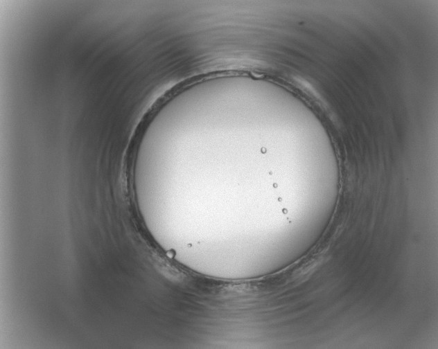 X0000063490883200602101830