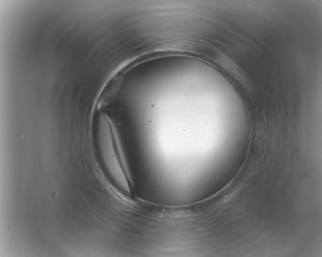 X0000063490884200602101830