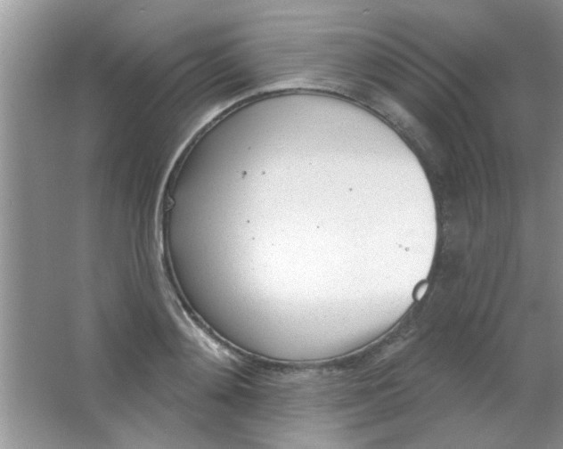 X0000063490892200602101830