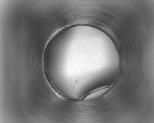 X0000063490894200602101830