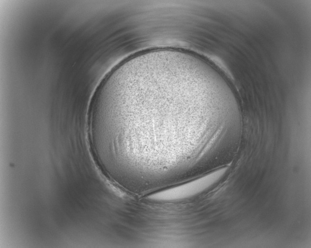 X0000063490895200602101830