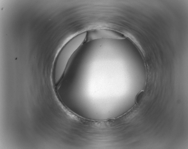 X0000063490901200602101830