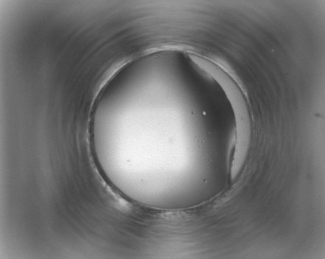 X0000063490906200602101830