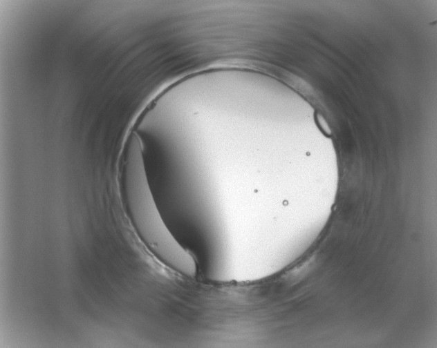 X0000063490908200602101830