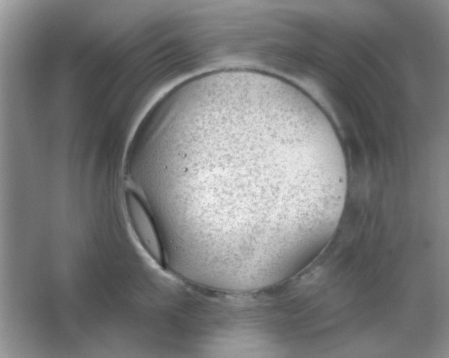 X0000063490911200602101830