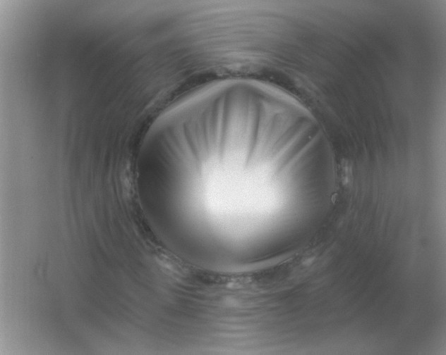 X0000063490915200602101829