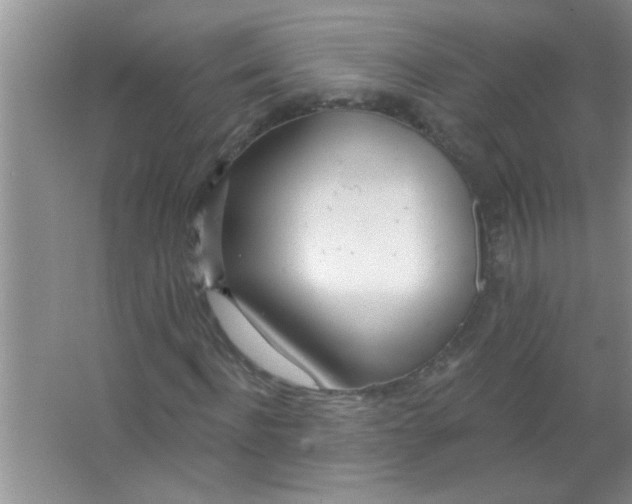 X0000063490916200602101829