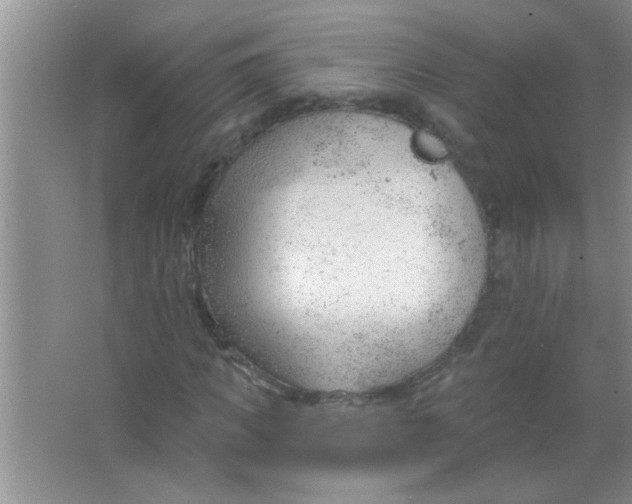 X0000063490917200602101829