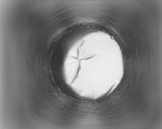 X0000063490919200602101829