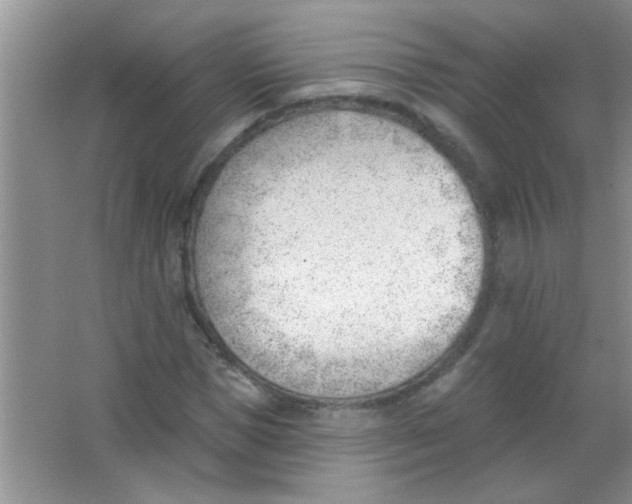 X0000063490921200602101829