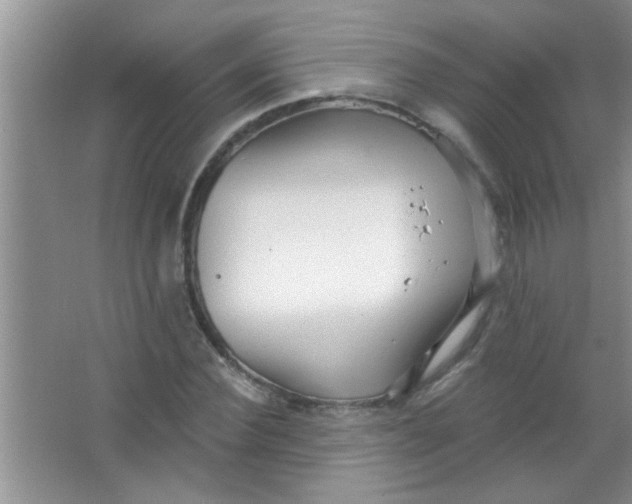 X0000063490924200602101829