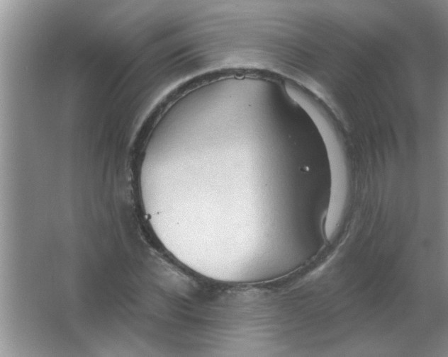 X0000063490926200602101829